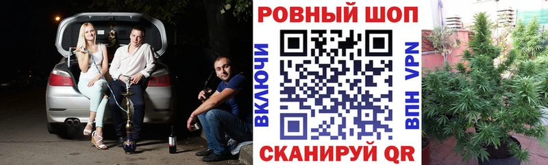 Виды наркотиков купить Мичуринск ГАШ Конопля Cocaine СК Мефедрон