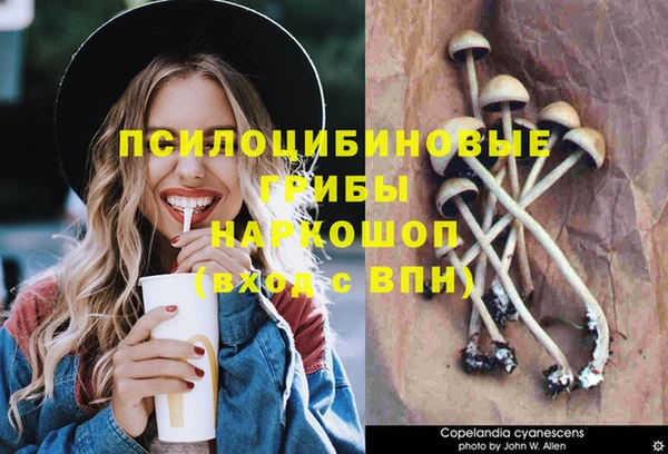 спайс Алексин