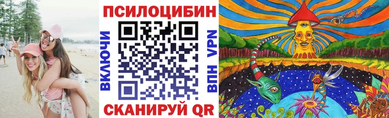 Псилоцибиновые грибы ЛСД  маркетплейс как зайти  Мичуринск  сколько стоит 