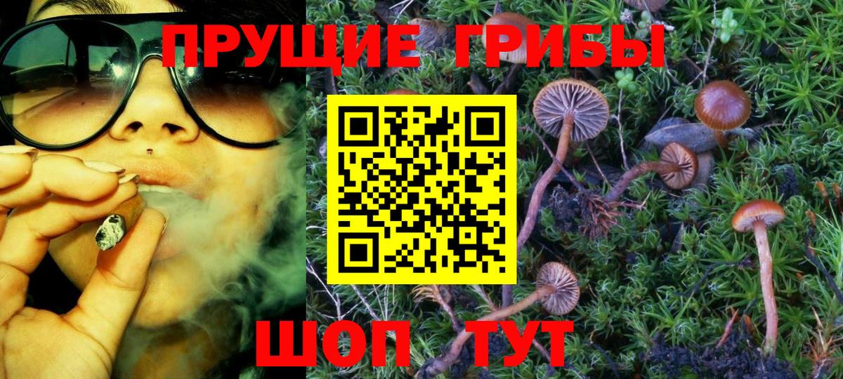 Мичуринск  Псилоцибиновые грибы мицелий  Вход с VPN 